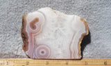 Curiosity Shop Rock Slab 435