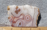 Curiosity Shop Rock Slab 407