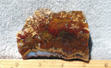 Mexican Moss Agate Rock Slab 297