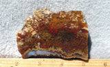 Mexican Moss Agate Rock Slab 297