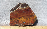 Mexican Moss Agate Rock Slab 287