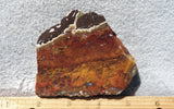 Mexican Moss Agate Rock Slab 287