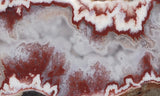 Forest Fire Plume Agate Rock Slab 6