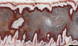 Forest Fire Plume Agate Rock Slab 8