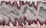 Forest Fire Plume Agate Rock Slab 4