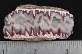 Forest Fire Plume Agate Rock Slab 4