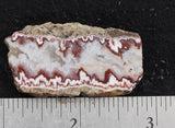 Forest Fire Plume Agate Rock Slab 5