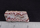 Forest Fire Plume Agate Rock Slab 44