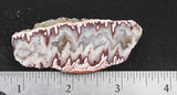 Forest Fire Plume Agate Rock Slab 16