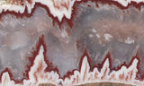 Forest Fire Plume Agate Rock Slab 3