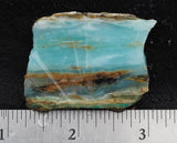 Blue Opal Wood Rock Slab 15