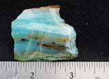 Blue Opal Wood Rock Slab 16
