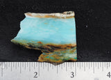 Blue Opal Wood Rock Slab 12