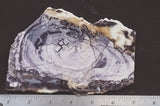 Tiffany Stone Rock Slab 0501