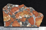 Maligano Jasper Rock Slab 90
