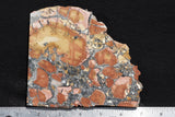 Maligano Jasper Rock Slab 89