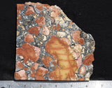 Maligano Jasper Rock Slab 79