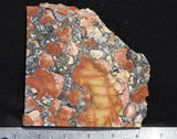 Maligano Jasper Rock Slab 79