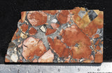 Maligano Jasper Rock Slab 84