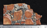 Maligano Jasper Slab 41