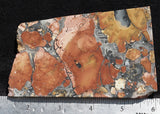 Maligano Jasper Rock Slab 87
