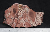 Dead Ringer Jasper Slab 41