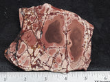 Dead Ringer Jasper Slab 48