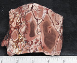 Dead Ringer Jasper Slab 47