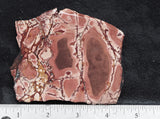 Dead Ringer Jasper Slab 40