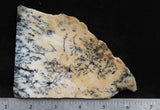 Australian Dendritic Opal Rock Slab 44