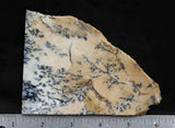 Australian Dendritic Opal Rock Slab 45