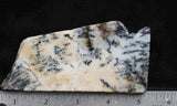 Australian Dendritic Opal Rock Slab 50