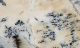 Australian Dendritic Opal Rock Slab 50