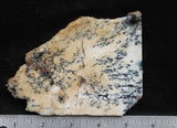 Australian Dendritic Opal Rock Slab 46