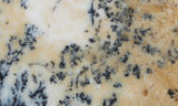 Australian Dendritic Opal Rock Slab 49