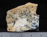 Australian Dendritic Opal Rock Slab 49