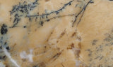 Australian Dendritic Opal Rock Slab 52