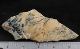 Australian Dendritic Opal Rock Slab 52