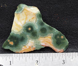 Ocean Jasper Rock slab 68