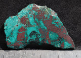 Shattuckite Rock Slab 191