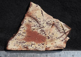 Owyhee Dendritic Jasper Slab 33