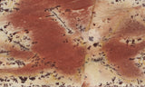 Owyhee Dendritic Jasper Slab 30