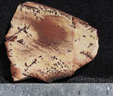 Owyhee Dendritic Jasper Slab 36