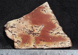 Owyhee Dendritic Jasper Slab 35