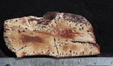 Owyhee Dendritic Jasper Slab 31