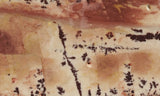 Owyhee Dendritic Jasper Slab 31