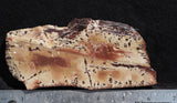 Owyhee Dendritic Jasper Slab 31