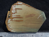 Owyhee Jasper Rock Slab 498