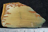 Owyhee Jasper Rock Slab 358