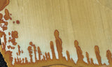 Owyhee Jasper Rock Slab 358